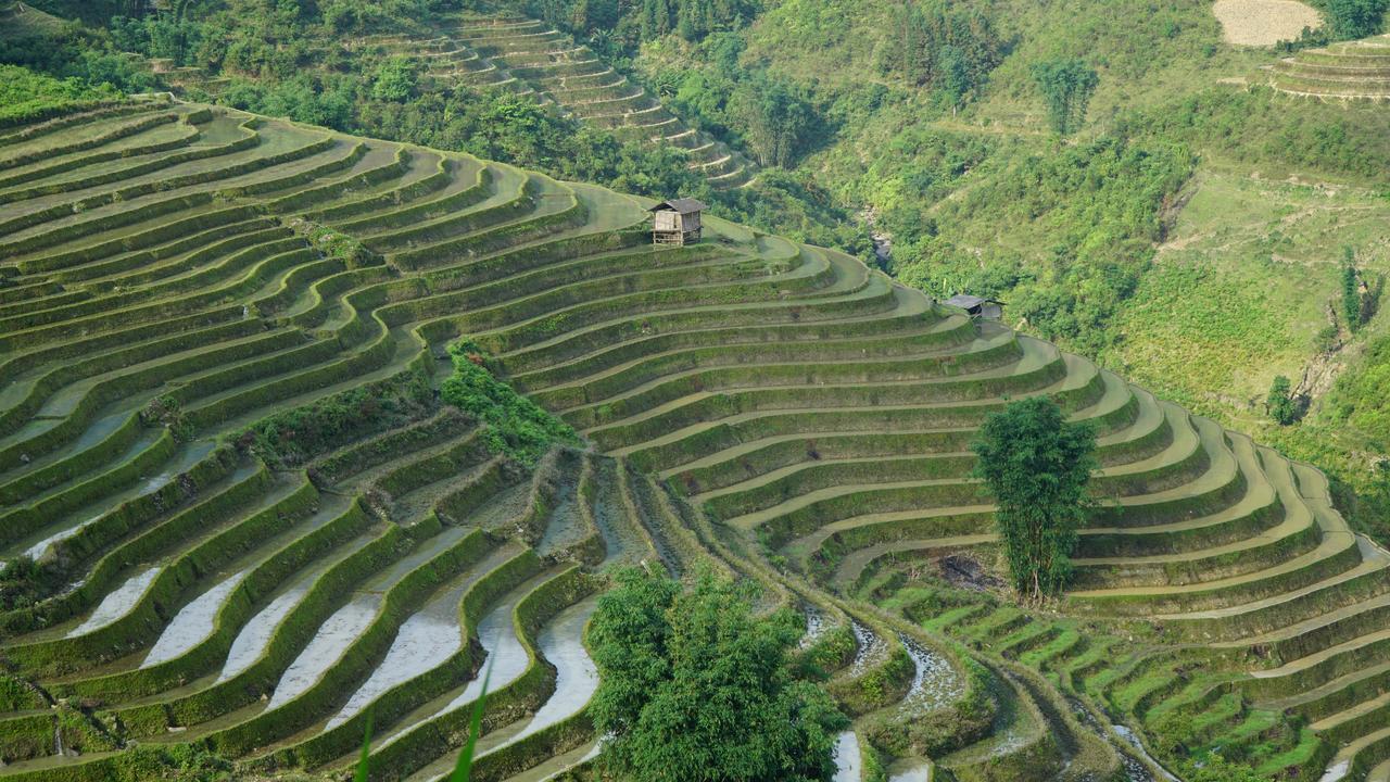 Huy Trung Homestay Бак Ха Екстериор снимка
